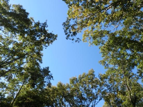 Akegaoka Park